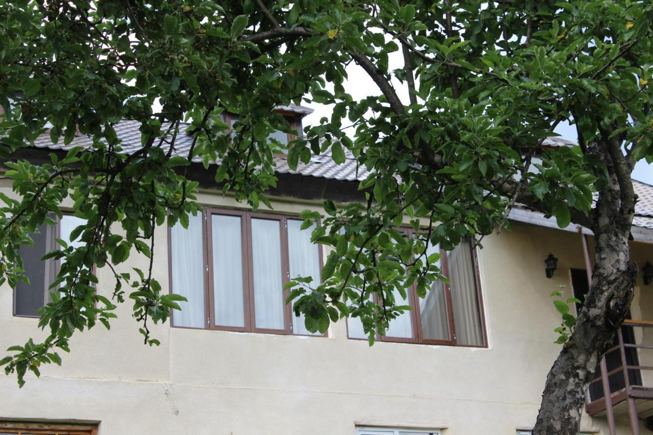 Village House Mestia Exterior photo